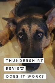 Pin On Dog Products
