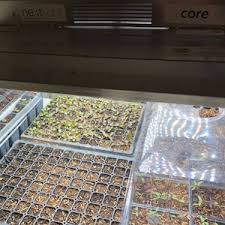 Start your seeds off right so that they grow in a natural environment without. Organic Seed Starting Mix Archives Organic Potting Soil Organic Mechanics Soil