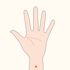 乗物酔いに効くツボ｜アネロン【エスエス製薬】