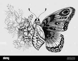 Schmetterling tattoo design -Fotos und -Bildmaterial in hoher Auflösung –  Alamy