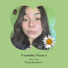 ✨Introducing 2024 UTDallas Terry Scholars✨Congratulations