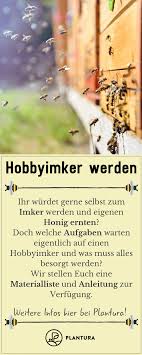 How To Become A Hobby Beekeeper Instructions Tips From The Professional Plantura In 2020 Bee Keeping Diy Natural Products How To Become