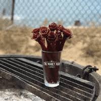 But not just any plain old beef jerky in a bag — beef jerky roses! Flower Bouquet Sticker By Tatze Mur For Ios Android Giphy