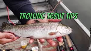 Traditionally for warm water fish like walleye or pike, you would fish on the side of the lake were the wind is blowing. Trout Trolling Tips How To Trolling For Trout In Lakes Ponds Youtube