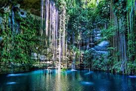 Maybe you would like to learn more about one of these? The Most Amazing Cenotes In Mexico Oyster Com
