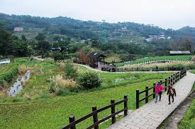 Find professional taiwan nature videos and stock footage available for license in film, television, advertising and corporate uses. Taiwan Taipei Maokong Gondel Natur Baume Aussicht Landschaft Grun Piqsels