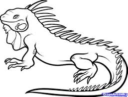 Color in this picture of a pet iguana and others with our library of online coloring pages. Iguana Coloring Pages Kidsuki