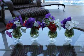 Pin On Garden Ideas