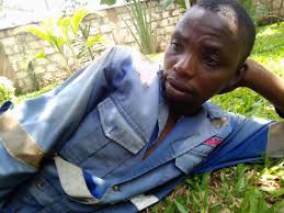 Patrick Guiney in people