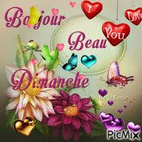 Https Encrypted Tbn0 Gstatic Com Images Q Tbn 3aand9gcsqpkcsjkmm4licwqkdhdtdh3uavvvmrdwgmw Usqp Cau