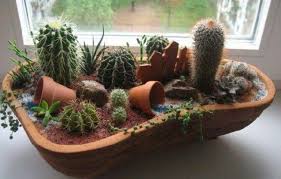 Cacti cactus & succulent plants. Pin By Wolfgang Bunzel On Ideas Products Mini Cactus Garden Plants Succulent Planter Diy
