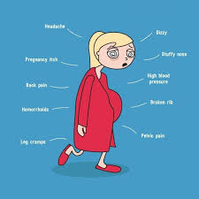 Pin On Babyc