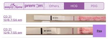 Signal to noise assessment, mass spectrometry, or a fluorometric scan can be used to address possible probe degradation. Do U See The Double Line Or Am I Crazy This Is 7dpo Anyone Had An Experience With That False Positive Fishbowl