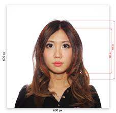 India Visa Passport Oci Pio Pcc Photo Size Specification And Requirement Pro Passport Photo Inc