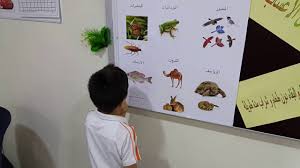 التعلم بالمشروعات مشروع تصنيف الحيوانات الصف الأول الابتدائي Youtube