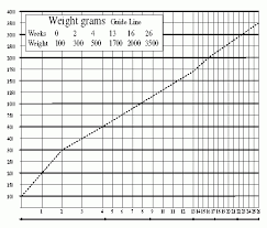 42 Prototypal Cat Weights By Age Chart