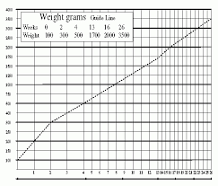 42 prototypal cat weights by age chart