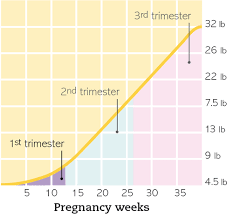 Baby Weight Increase Chart Pregnancy Weight Gain Chart Per