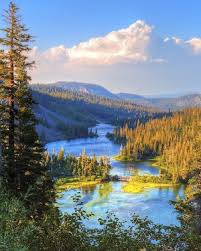 Yvonne Lambert Obituary