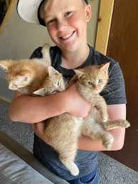 What are some historical fiction novels for high school students?