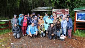Educadoras Y Docentes De La Region De Los Lagos Visitaron Parque Alerce Andino En Un Acercamiento A La Ciencia Y La Naturaleza A Traves De La Indagacion Cientifica Noticias Uach
