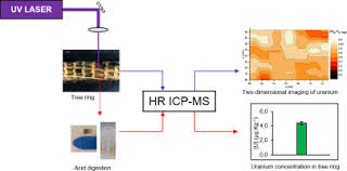 Uranium is a common metal. Uranium Quantification Of Oak Tree Rings Quercus Petraea From A Former Uranium Mining Site By High Resolution Inductively Coupled Plasma Mass Spectrometry In Laser Ablation And Solution Modes Sciencedirect