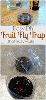 How To Make A Homemade Diy Fruit Fly Trap Diy Fruit Fly Trap Fruit Fly Trap Fruit Fly Trap Diy