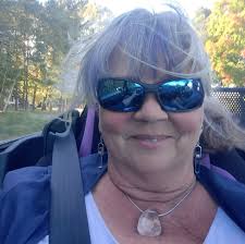 Camping in a vehicle in summer: cooling tips needed