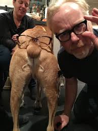 Adam Savage