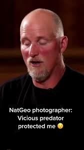 Paul Nicklen and the leopard seal that tried to fees him #natgeo  #wildlifephotography #paulnicklen #leopardseal