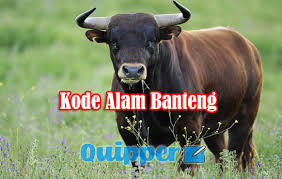 Maybe you would like to learn more about one of these? Kode Alam Mimpi Banteng 2d 3d 4d Erek Erek Primbon