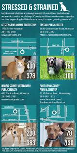Pet pantry & dog wash can help with local pet adoptions near colorado springs. Katy Area Animal Shelters Strained By Stray Populations Community Impact