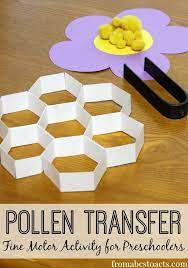 The importance of bee pollination. Pollen Transfer Fine Motor Activity For Preschoolers Bee Activities Preschool Activities Insects Preschool