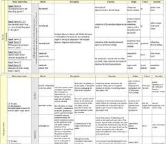 Cranial Nerve Innervation Clinical Correlates