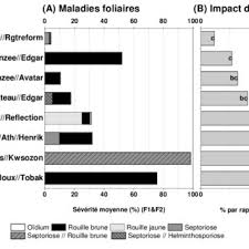 La maladie entraîne la fonte de semis, un peuplement non maîtrisé et un tallage réduit. Pdf Schema De Traitement Fongicide En Ble Peut On Retarder La Premiere Intervention Fongicide Dans Les Champs Wallons