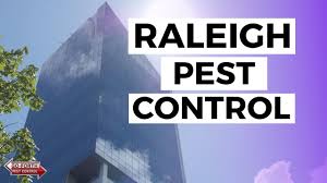 Protecting your family is a responsibility that you take seriously. Pest Control In Raleigh Nc Best Pest Control Near Me By Go Forth