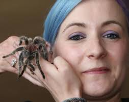 Little Beasties pet shop in Ulverston celebrates 18 years