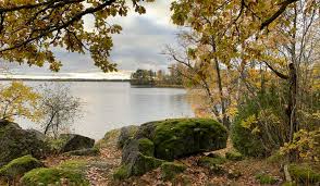 We did not find results for: Hasselhorn Lansstyrelsen Stockholm