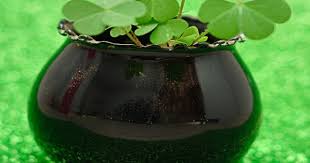 In hot summer regions they will need protection from the afternoon sun. Growing Shamrocks With Kids