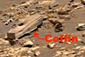 Images from nasa's mars curiosity show pictures of mushrooms and funghi some scientists claim these nasa images show the red surface is not barren it states some images captured by nasa's curiosity show fungi is growing on the surface of the. Life On Mars Has Nasa S Curiosity Photographed A Humanoid Alien On Mar Weird News Express Co Uk