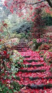 Steps Near Entrance Of Elk Rock Garden In Autumn I Think The Original Source Is Yelp User Morgan W Beautiful Nature Beautiful Landscapes Nature Photography