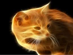 Download Bilder Fur Das Handy Tiere Katzen Fantasie Kostenlos 45755 Die übersichtlichen kategorien weisen dir den schnellsten weg zu deinem. tiere katzen fantasie kostenlos 45755