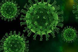 Coronaviruses are a group of related rna viruses that cause diseases in mammals and birds. Coronavirus Informationen Von Expertinnen Und Experten Museum Fur Naturkunde