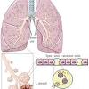 Definition of idcr in the abbreviations.com acronyms and abbreviations directory. 1