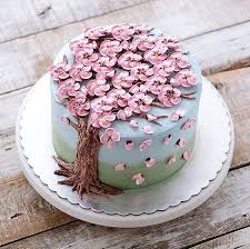 spring colourful buttercream flower cakes spring cake cherry blossom cake creative cakes