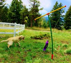 Back Yard Dog Toys That Provide Lots Of Pet Exercise Tuggalots Pet Mobiles Dog Toys Pets Dogs