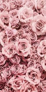 Wall Paper Iphone Flowers Tumblr Backgrounds 63 Ideas Flower Phone Wallpaper Pink Wallpaper Iphone Rose Wallpaper