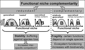 The Relationship Between Functional Niche Complementarity Download Scientific Diagram