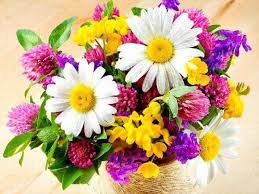 We did not find results for: Beautiful Birthday Flower 40 Image Of The World S Most Beautiful Birthday Flower Unique Meaning