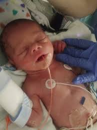 Thank you to everyone who has sent even a dollar, I appreciate you. We're  really in a rough situation, Ozlo will be here awhile, and it's really not  cheap. As well as